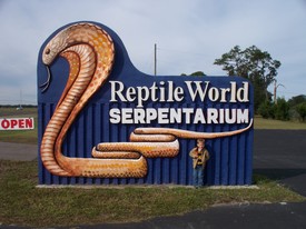 Sat 28 Nov 2009 10:43:01 AM

We skipped Disney on Saturday, also, opting for some less intense activities: the Reptile World Serpentarium in St. Cloud and Dinosaur World in Plant City.
