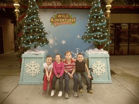 Highlight for Album: Wild Adventures with the family at Christmas.