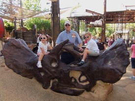 Fri 23 Mar 2012 10:15:06 AM

We visited Disney's Animal Kingdom on day 3.