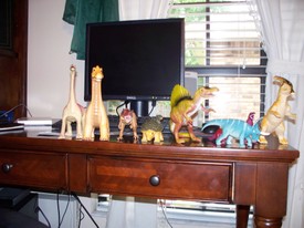 Sat 06 Jun 2009 12:16:56 PM

Andrew posed and then photographed some of his dinosaurs.