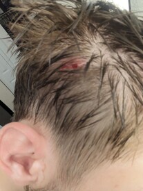 Thu 19 Feb 2026 12:15:09 PM