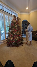 Highlight for Album: Christmas_2023_day_prior