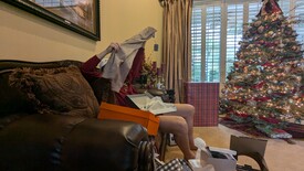 Wed 25 Dec 2024 10:02:21 AM