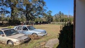 Sun 01 Dec 2024 12:10:29 PM