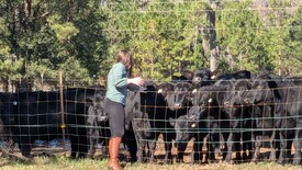 Sun 01 Dec 2024 12:29:17 PM