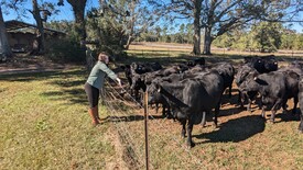 Sun 01 Dec 2024 12:31:44 PM