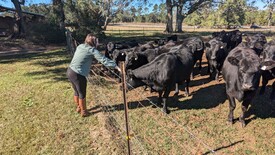 Sun 01 Dec 2024 12:32:02 PM