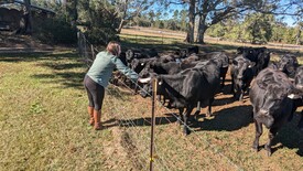 Sun 01 Dec 2024 12:32:04 PM