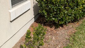 Sun 23 Feb 2025 01:44:58 PM