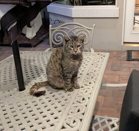 Highlight for Album: Gary Girl