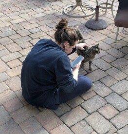 Tue 04 Mar 2025 04:10:58 PM