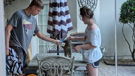 Sat 05 Apr 2025 07:21:38 PM