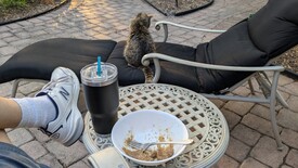 Tue 15 Apr 2025 07:11:23 PM