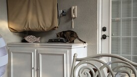 Mon 01 Sep 2025 07:11:54 PM