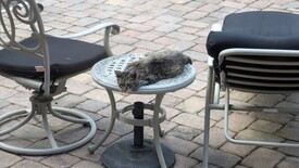 Wed 03 Sep 2025 10:59:12 AM