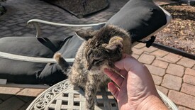 Wed 03 Sep 2025 05:25:58 PM