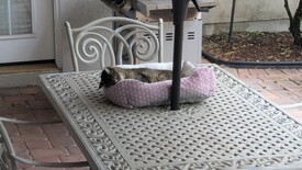 Fri 12 Sep 2025 10:44:48 AM