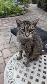 Wed 17 Sep 2025 07:19:45 PM