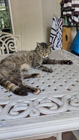 Thu 25 Sep 2025 11:22:20 AM