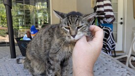 Mon 13 Oct 2025 11:04:10 AM