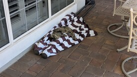 Fri 24 Oct 2025 01:19:52 PM