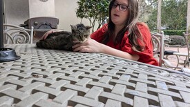 Sun 23 Nov 2025 01:25:36 PM