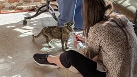 Sun 11 Jan 2026 03:20:04 PM