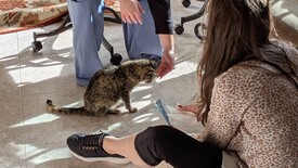 Sun 11 Jan 2026 03:21:54 PM