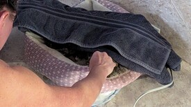 Sat 31 Jan 2026 03:22:39 PM