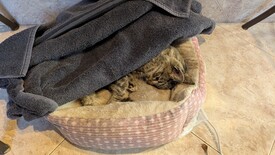 Sat 31 Jan 2026 04:07:24 PM