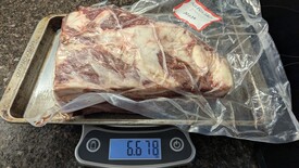 Sun 19 Oct 2025 01:54:13 PM