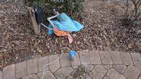 Sat 31 Jan 2026 11:05:14 AM