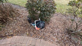 Sat 31 Jan 2026 11:14:19 AM