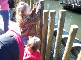 Wed 26 Jan 2011 10:44:39 AM

Gracie and Mom to on a field trip with Andrew and his classmates to the Alligator Farm in St. Augustine.